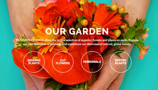 Dutch Dummen Orange swaps private equity owners