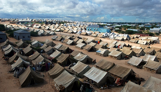 Accenture & UN refugee body create biometric identity
