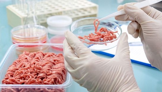 Fighting the 40 billion food fraud to protect food supply