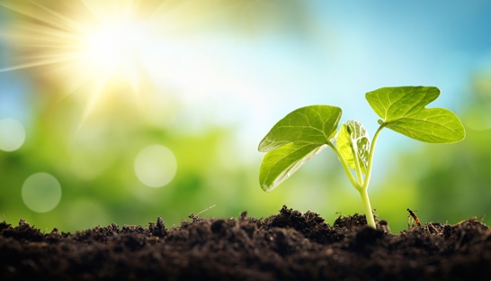 Investments in agriculture technology startups boom to 4.6 billion