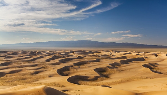 Mott MacDonald provides lenders' technical for Gobi Desert windfarm