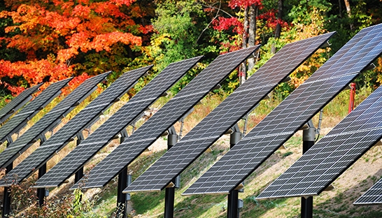 Mott MacDonald advises on acquisition in renewable energy space