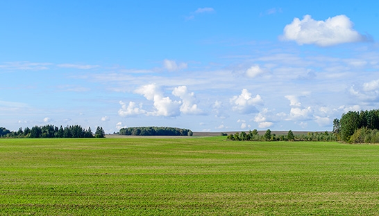 UK Government renews environmental consultancy deal with Ricardo