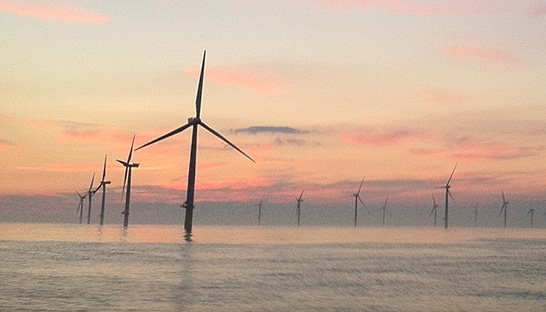 Royal HaskoningDHV assesses environmental impact of Scottish windfarms