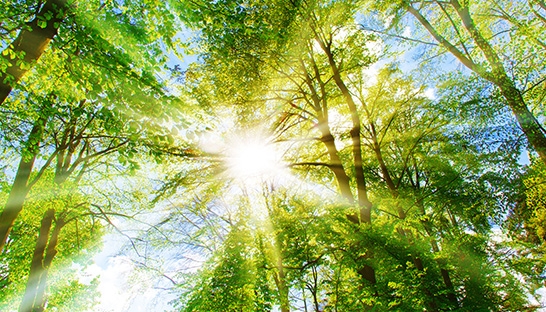 Infosys commits to internal carbon pricing to meet sustainability goals