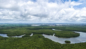 BioScope tool helps companies understand biodiversity impact of value chains