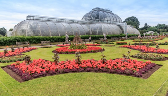 Mott MacDonald hired for Kew Capital Development Programme