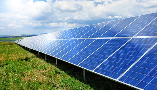Consulting firms eyeing Indian renewable energy sector