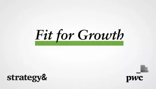 Strategic cost cutting with Strategy&'s Fit for Growth approach