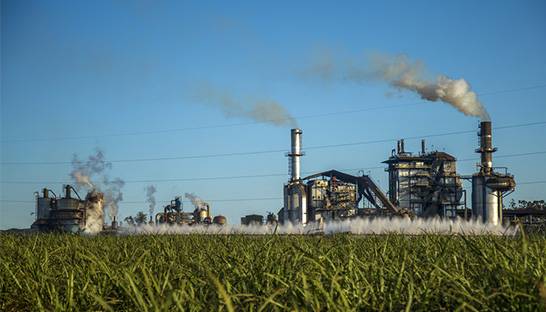 Brazil’s sugar cane industry’s poorest year in a decade gets worse due to strike 