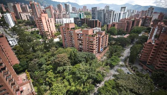 MAS Global Consulting moves office in Medellín