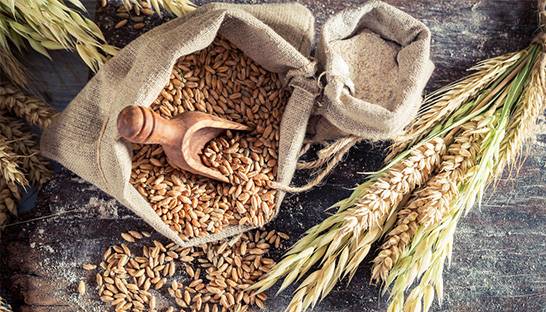 FRP to administrate farmer-owned Angus Cereals