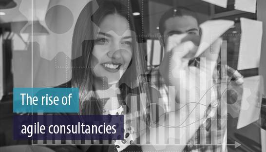 New breed of fluid and agile consultancies challenging large consultants