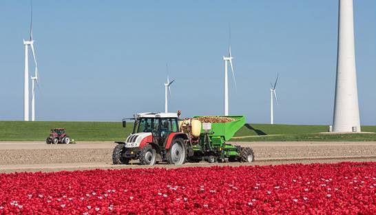 The Netherlands’ agri-food exports three times that of Australias