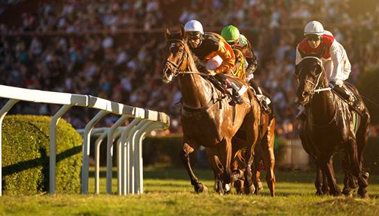 KPMG administrators aim to sell racecourse by end of October
