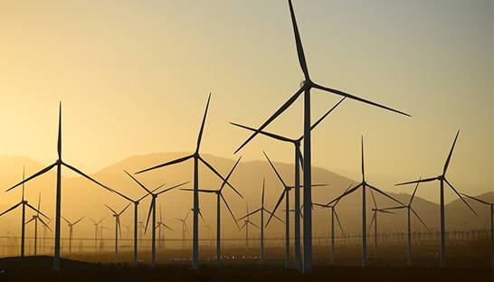 US consultancy ArcVera Renewables eyes Brazil with new office in São Paulo
