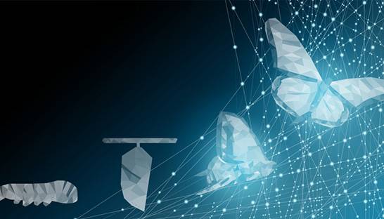 Eight in ten CFOs spearheading digital transformation