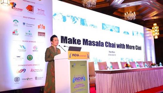 Topline Consulting reveals strategy for Indian tourism sector