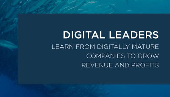 Digital maturity of firms linked to higher revenue growth and profitability