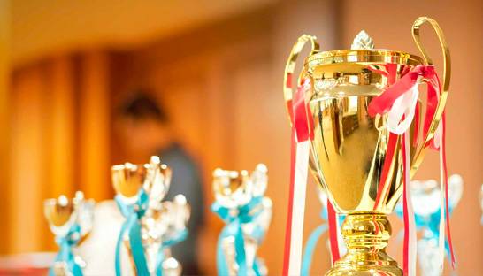 TCS comes away from Great Employer Awards 2018 with eleven Stevies