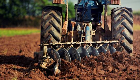 Consulting is vital to support agriculture industry growth, KPMG finds