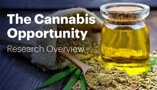 Hot for reefer: 76% would try legal cannabis therapeutic product