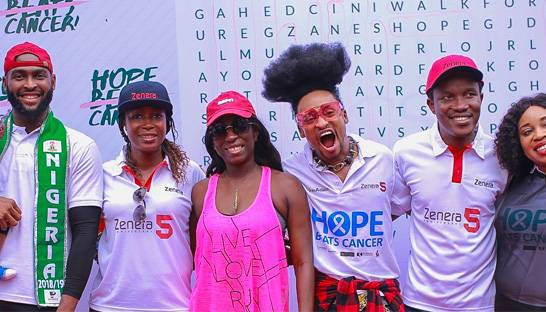 Zenera Consulting organises successful cancer walk for anniversary celebrations