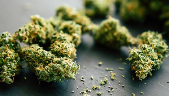 Europe blooms to world’s largest legal cannabis market