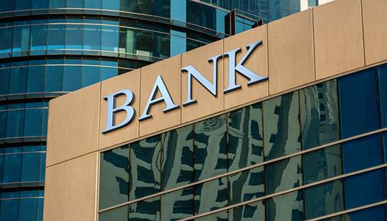 South Africa's major banks registered modest growth and diversification last year