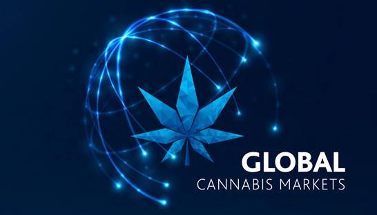 Canadian cannabis firms have attractive international opportunities, MNP reports