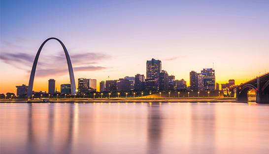 Want big bucks? Be a consultant in Missouri 