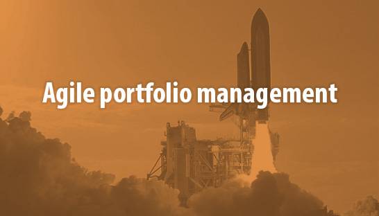 A six-step approach for Agile portfolio management