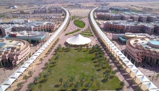 GE Healthcare Partners joins Saudi university on research and consulting development