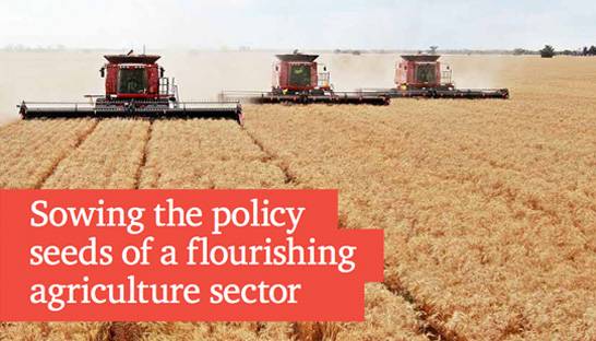 Government intervention is crucial to protect India's agriculture sector