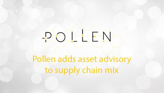 Pollen Consulting adds asset advisory to supply chain mix