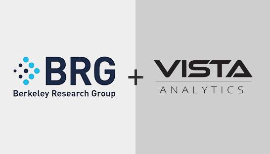 BRG acquires big data specialist Vista Analytics