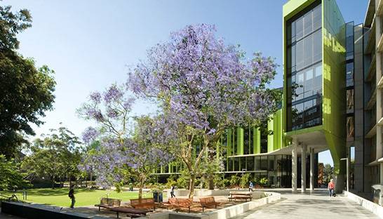 Venturetec helps Children's Cancer Institute with future-readiness