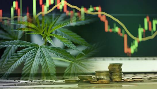 Legal cannabis market of UK could pass £2 billion mark by 2024