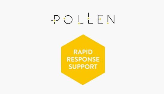 Pollen Consulting launches rapid response consultancy service