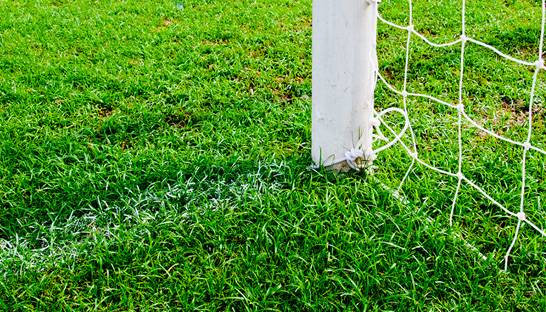 Rhyl FC collapses citing Covid-19 impact