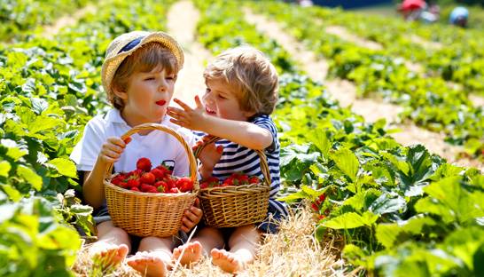 McKinsey: Food consumption habits will change for good