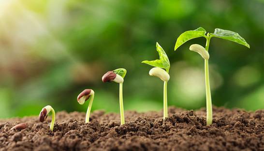 Pollen adds leadership coaching course to its academy