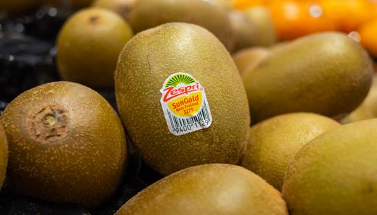 Deloitte, Zag and Sysdoc lead SAP driven overhaul at Zespri