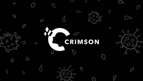 Education consultancy Crimson defends wage subsidies