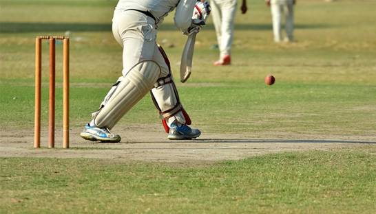 Cricket Australia calls in Octagon for North American media rights
