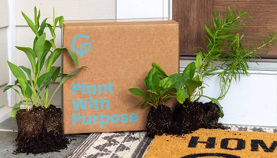 Accenture supports National Wildlife Federation's e-commerce efforts