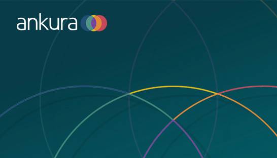 Ankura promotes 17 to senior managing director 