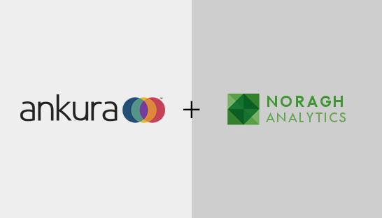 Ankura buys data analytics firm Noragh Analytics