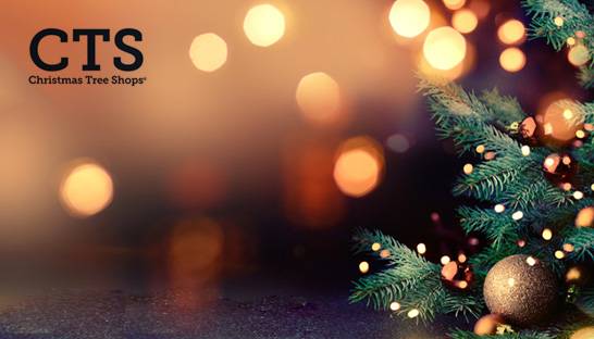How consultants helped Christmas Tree Shops with its IT carve-out
