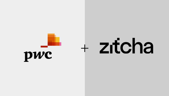 PwC agrees partnership with retail media platform Zitcha